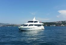 TEKNE SFR